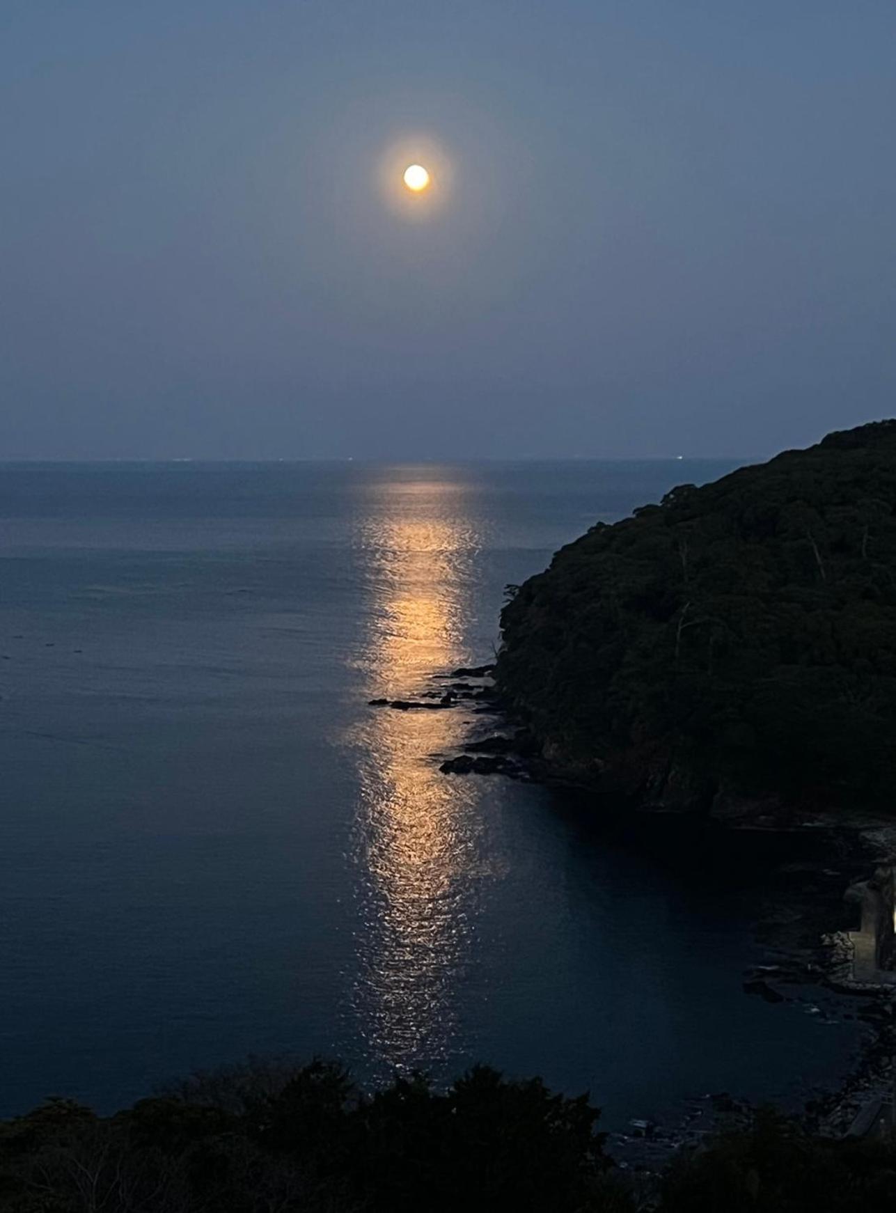 Manazuru Marin Hotel Dış mekan fotoğraf